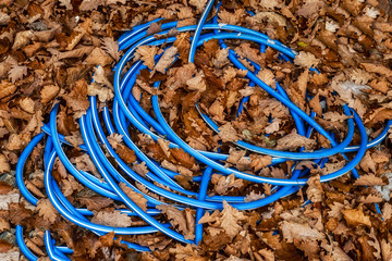 blue water hose among autumn leaves