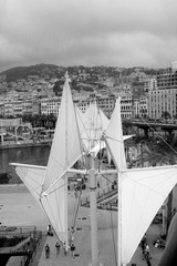 Genova