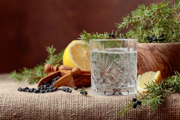 Cocktail gin, tonic with lemon and a branch of juniper with berries. - obrazy, fototapety, plakaty