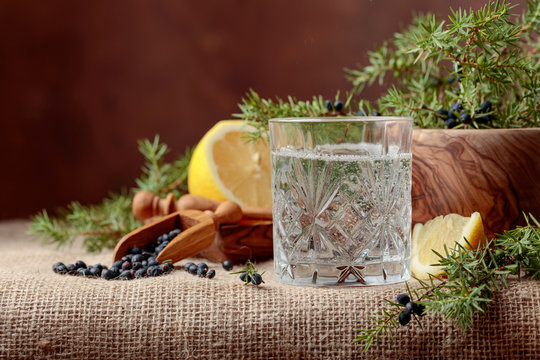 Cocktail gin, tonic with lemon and a branch of juniper with berries.