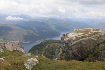 Naklejka premium Skomakarnibba