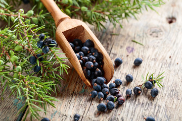 Juniper branch and wooden spoon with berries on a wooden table.