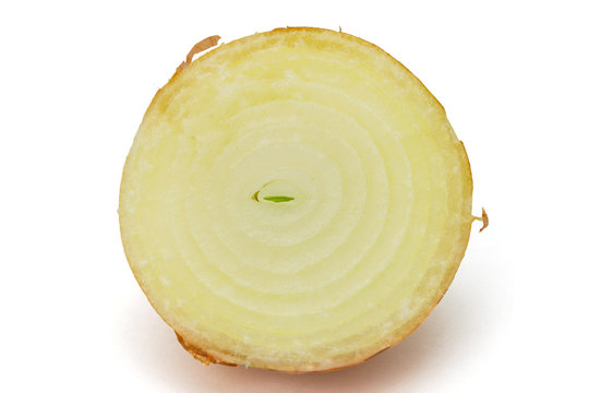 Cut circle onion on the white background