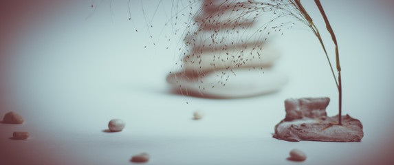 Spa still life with stacked of stone with a beautiful branch