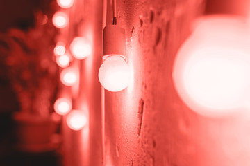 Vintage lamps toned coral color. Lighting decor vintage style.