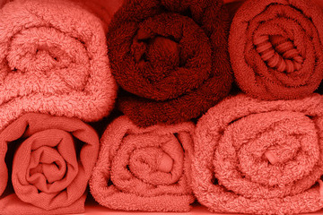 Obraz na płótnie Canvas Rolled towels toned coral color.