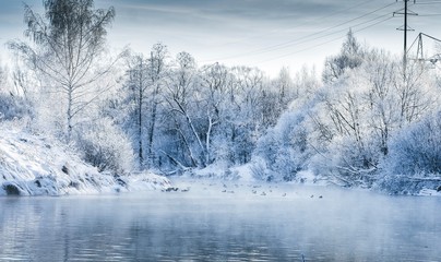 winter landscape with lake and forest