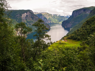 Aurlandsfjord VI