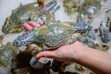 Fresh crab in the hands of people in the fresh market