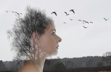 Profil eines nachdenklichen Frauengesichts vor einem kahlen Baum und fliegenden Wildgänsen im...