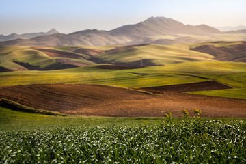 Landscape and nature around  Hamadan, western Iran. One stop during a roadtrip in Iran. meadow and mountains.