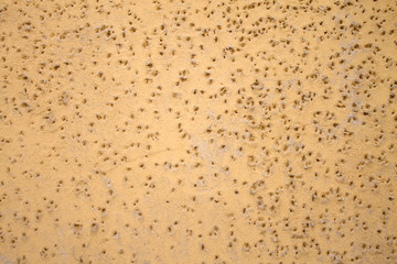 текстура желтой песчаной штукатурки