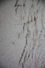 old wood texture of wall