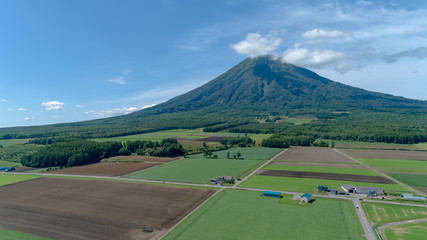 Fototapeta premium 羊蹄山と緑