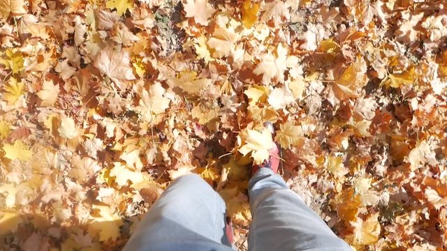 Fall, autumn, leaves, legs and shoes. Conceptual image of legs in red boots on the autumn leaves. Feet shoes walking in nature