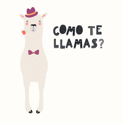 Hand drawn Valentines day card with cute funny llama in hat, bow tie, Spanish text Como te llamas, Whats your name. Vector illustration. Scandinavian style flat design. Concept for invite, print. © Maria Skrigan