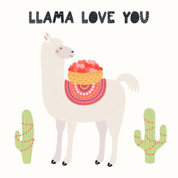 Hand drawn Valentines day card with cute funny llama carrying basket, cacti, text Llama love you. Vector illustration. Scandinavian style flat design. Concept for celebration, invite, children print.