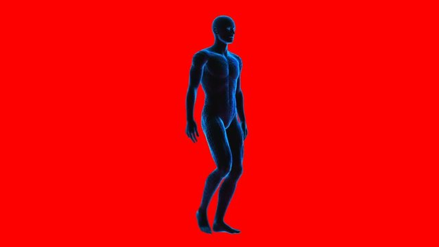 Geometric laser human figure walking isolated with a red screen. Seamless neon retro futuristic animation with chroma