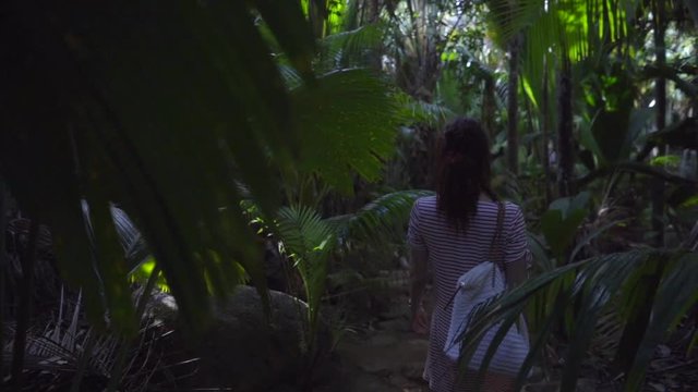 Femme marchant dans la Vall&eacute;e de Mai sur l'&icirc;le de Praslin, aux Seychelles