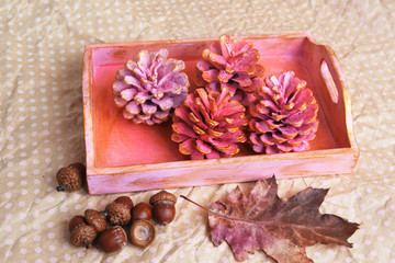 Pink tray with cones. Candid.