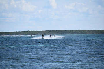 Obraz premium caribe