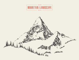Vector mountain peak pine forest style hand drawn