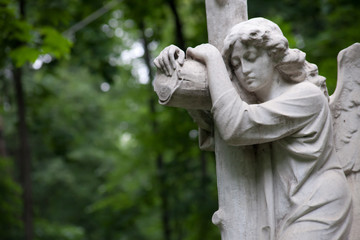 grieving angel against a background of dark green foliage