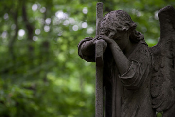 grieving angel against a background of dark green foliage