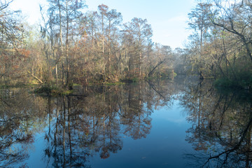 Fototapeta na wymiar Lake hidden back in a Louisiana swamp