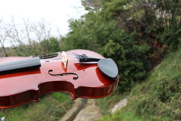 violon dans le nature