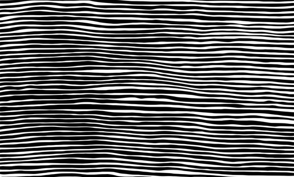 Vector Illustration of the pattern of black and white lines abstract background. EPS10.