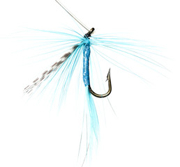 Feathers on a hook for fishing on a white background