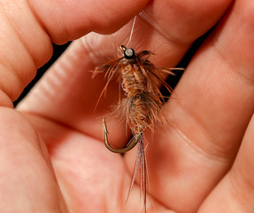 Feathers on the hook for fishing in the hand