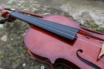 violon