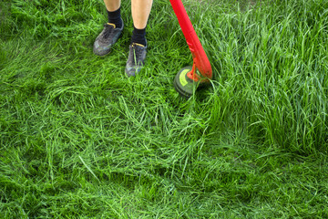 Gardener cut green grass in the garden by lawn mower . Gardening