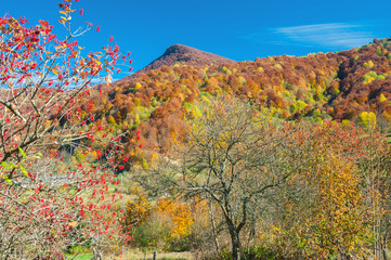 Autumn landscape in Carpathian mountains