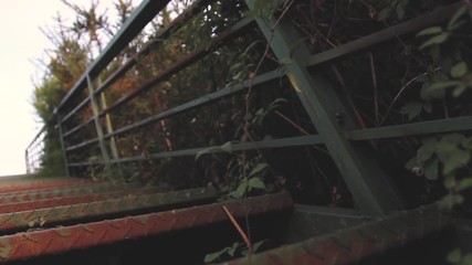 METAL STAIRS WITH GORSE