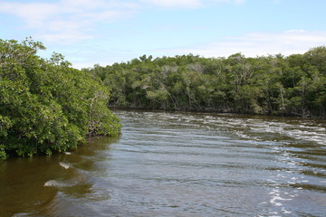 Florida Everglades