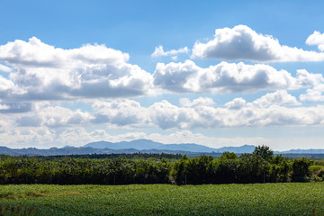 夏　景色　風景