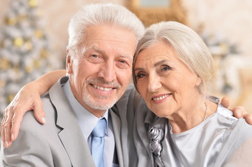 Portrait of cute hugging senior couple on blurred background