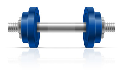 metal dumbbell for muscle building in gym vector illustration