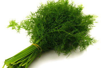 bunch fresh, green dill on a white background