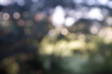 Abstract blurred of defocused nature background, bokeh background.