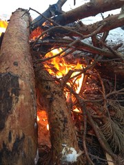 Fire in wood