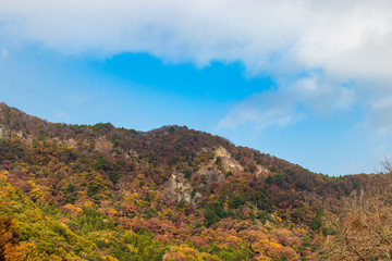 Naklejka premium Autumn leaves of mountains in Japan / Daigo-town, Kuji-district, Ibaraki prefecture, Japan