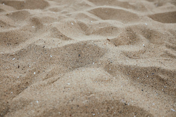 Fine beach sand in the summer sun
