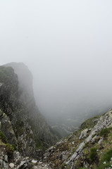 mountain and fog