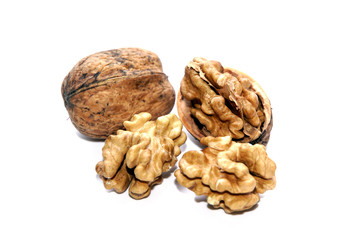 geschälte Walnuss, Echte Walnuss (Juglans regia)