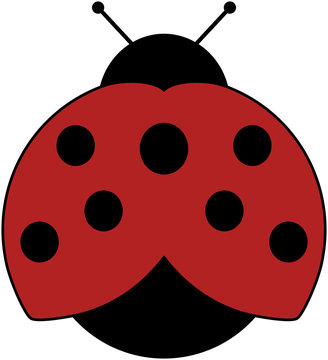 Ladybug icon for web, app,... Cartoon vector illustration. Icon isolated on white background.