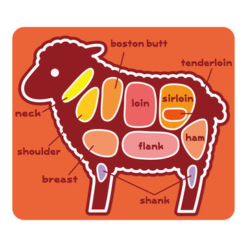 食物図解/羊肉の部位（英語）
